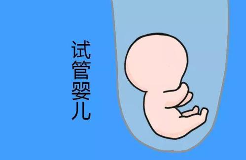 Geri培养箱